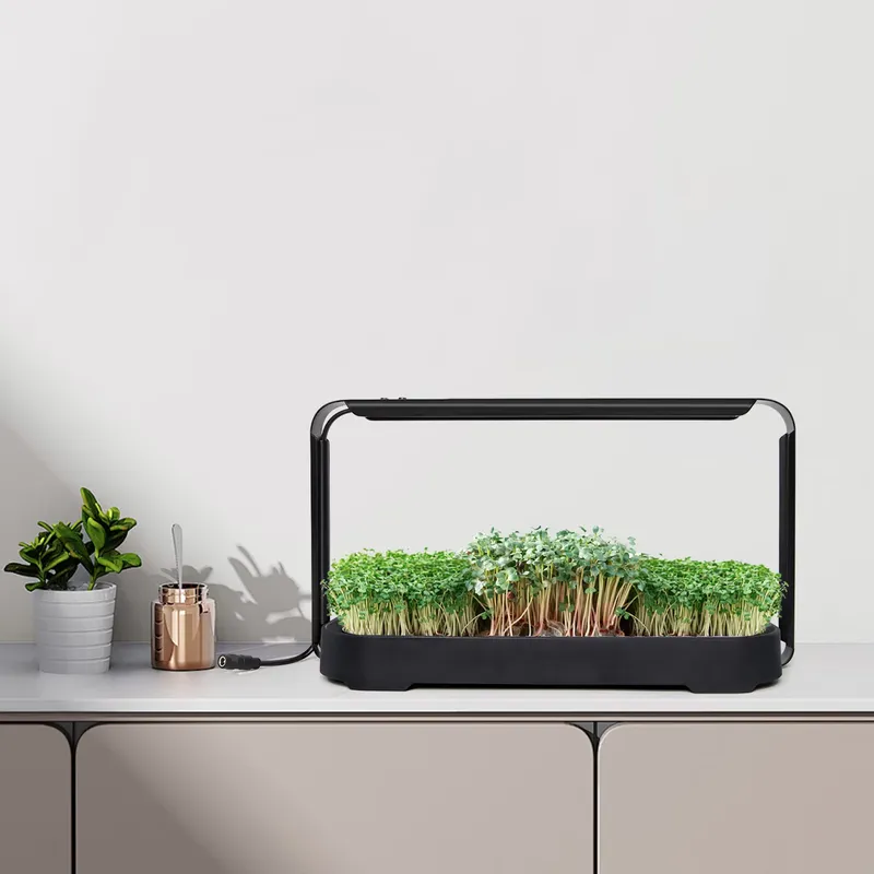 Indoor Garden Kit - System hydroponiczny do samodzielnego nawadniania mikrolistków