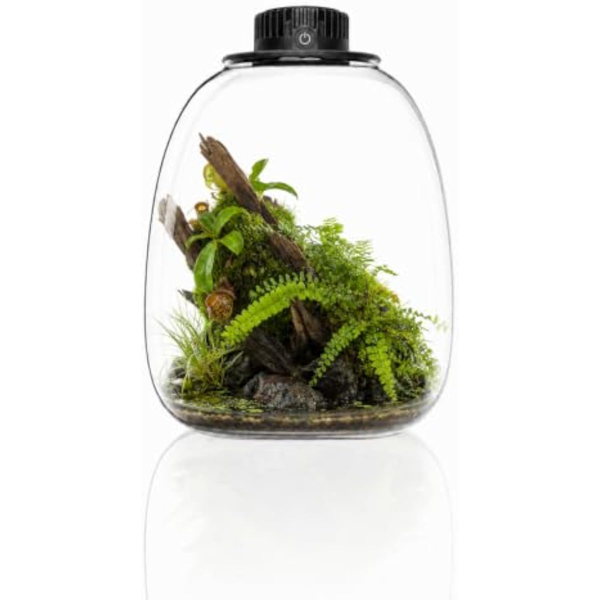 Grow Light Led - Okrągły terrarium z bio-butelki z regulowanym