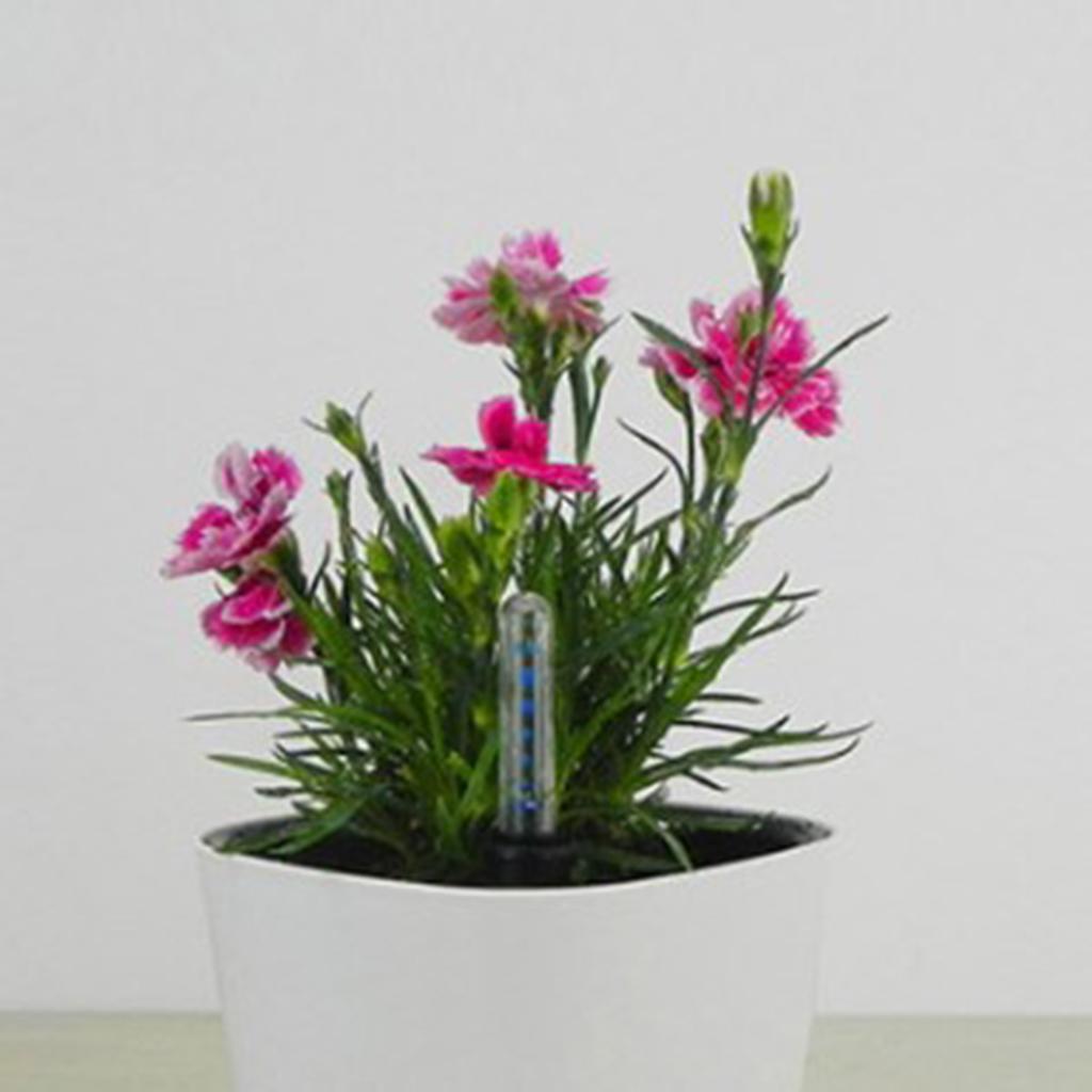 Plant Monitor - Wskaźnik poziomu wody do roślin, nowoczesny