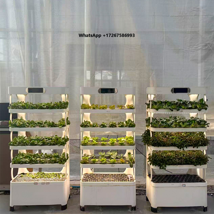 Smart Garden System - Inteligentny system do uprawy roślin w