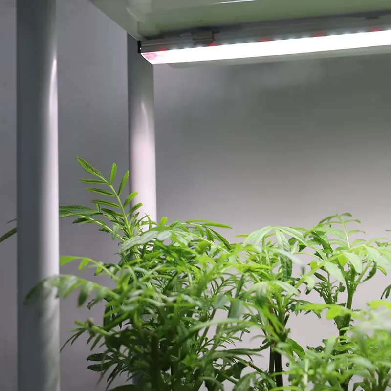 Przenośny, pionowy, 3-poziomow – Smart Garden System recenzja i cena