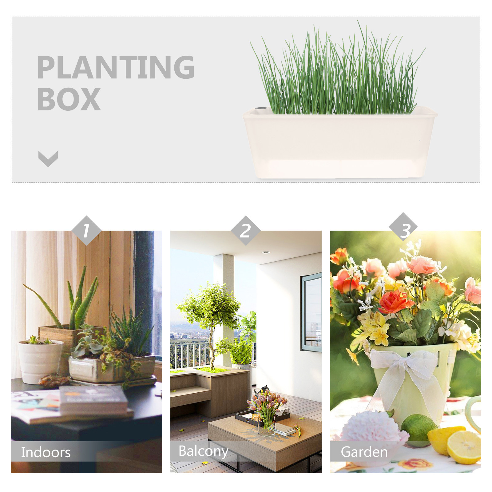 Prostokątny doniczka, długie p – Self Watering Planter recenzja i cena