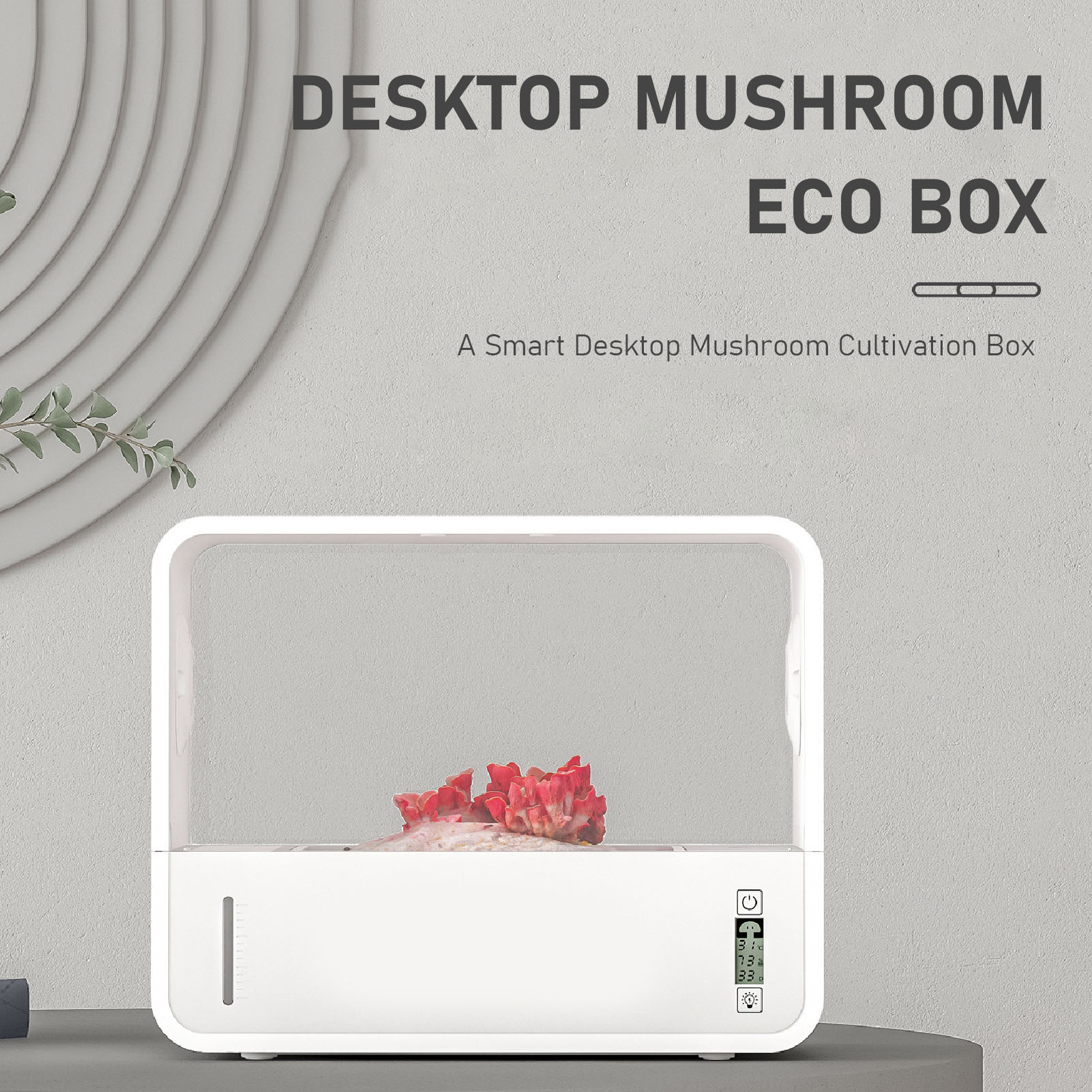 Zestaw do uprawy grzybów w nam – Grow Light Led recenzja i cena