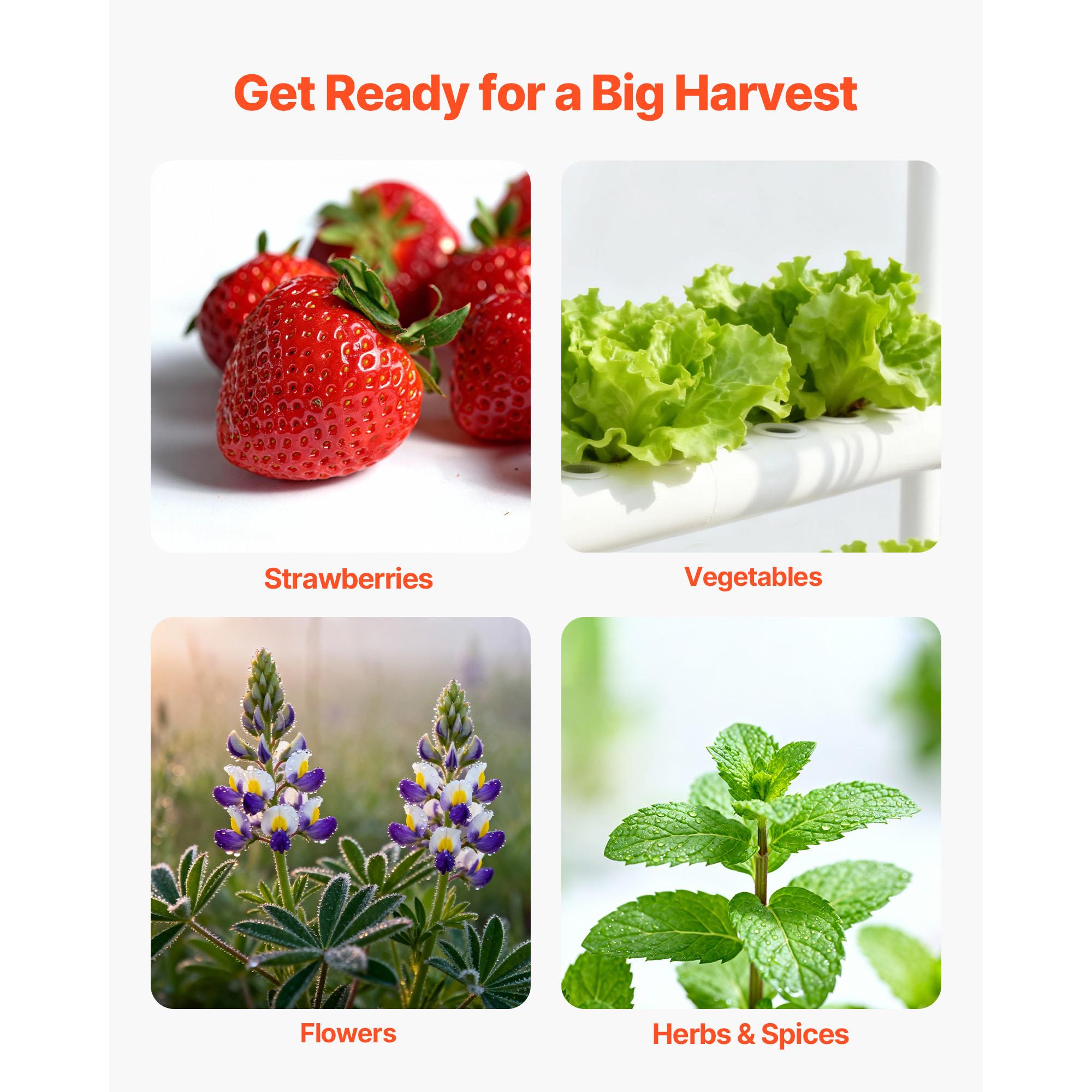 Zestaw do uprawy roślin hydrop – Indoor Garden Kit recenzja i cena