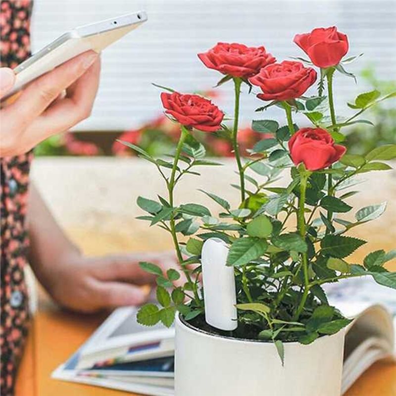 ABVG-Flora Inteligentny Monito – Plant Monitor recenzja i cena