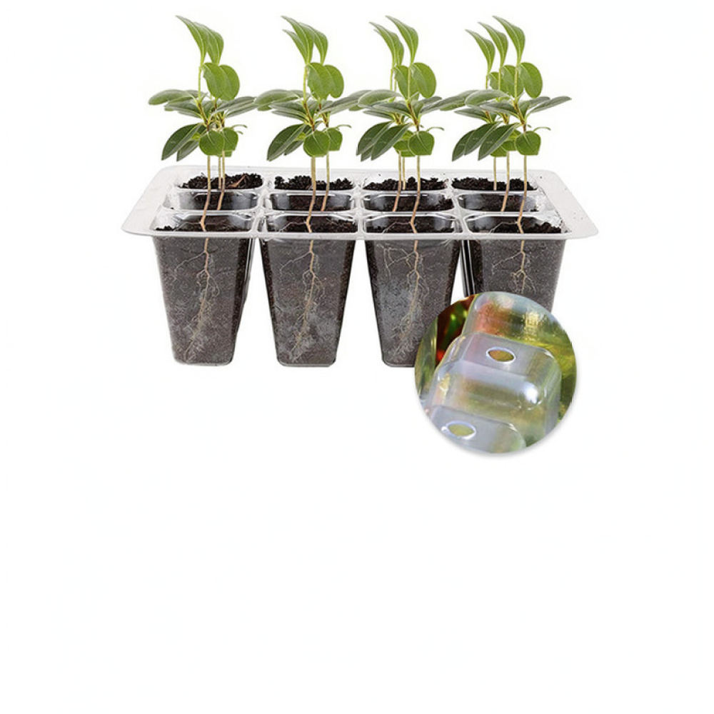 Zestaw do uprawy roślin w domu – Indoor Garden Kit recenzja i cena