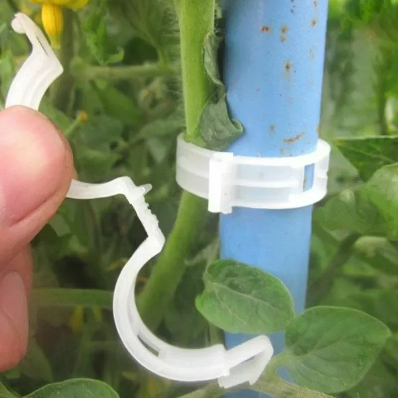 Klipsy do podtrzymywania rośli – Smart Garden Kit recenzja i cena