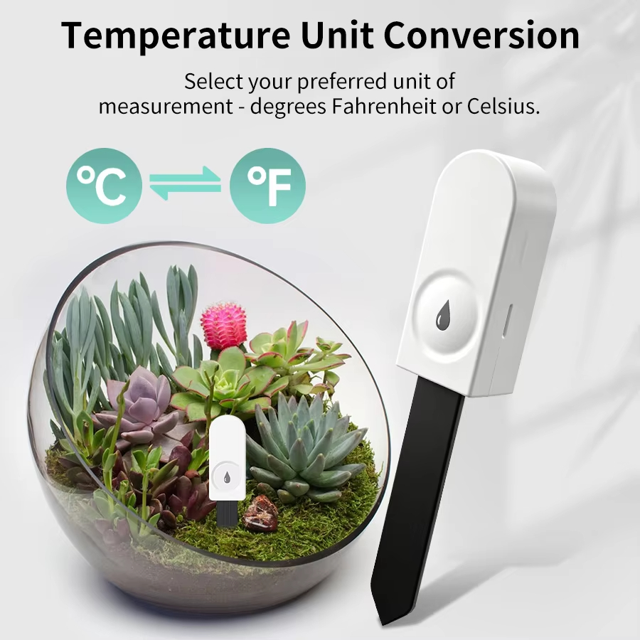 Monitor stanu roślin Zigbee 3. – Plant Monitor recenzja i cena