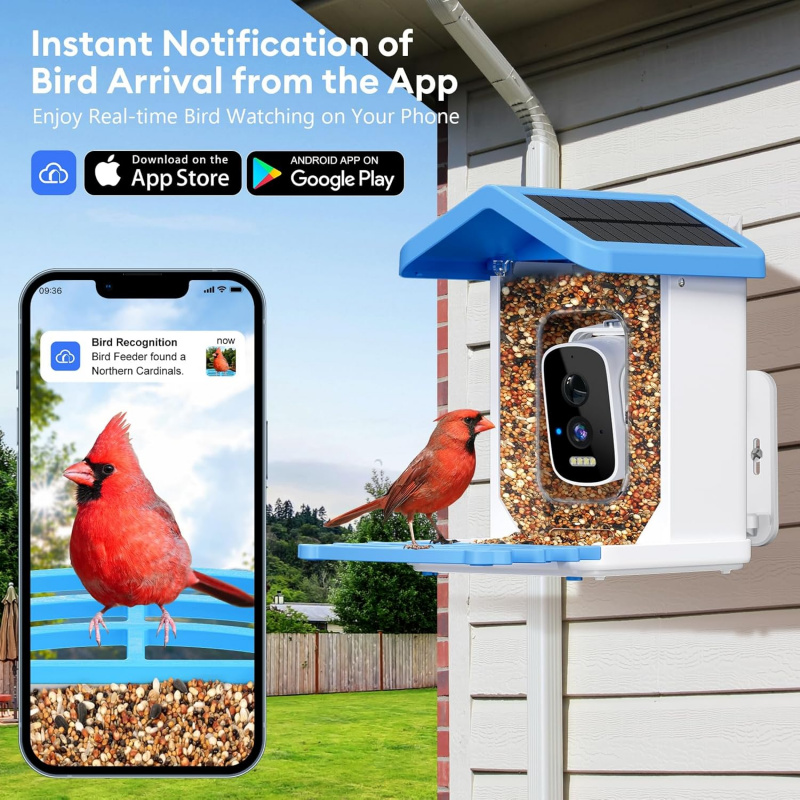 Inteligentny karmnik dla ptakó – Garden Camera recenzja i cena