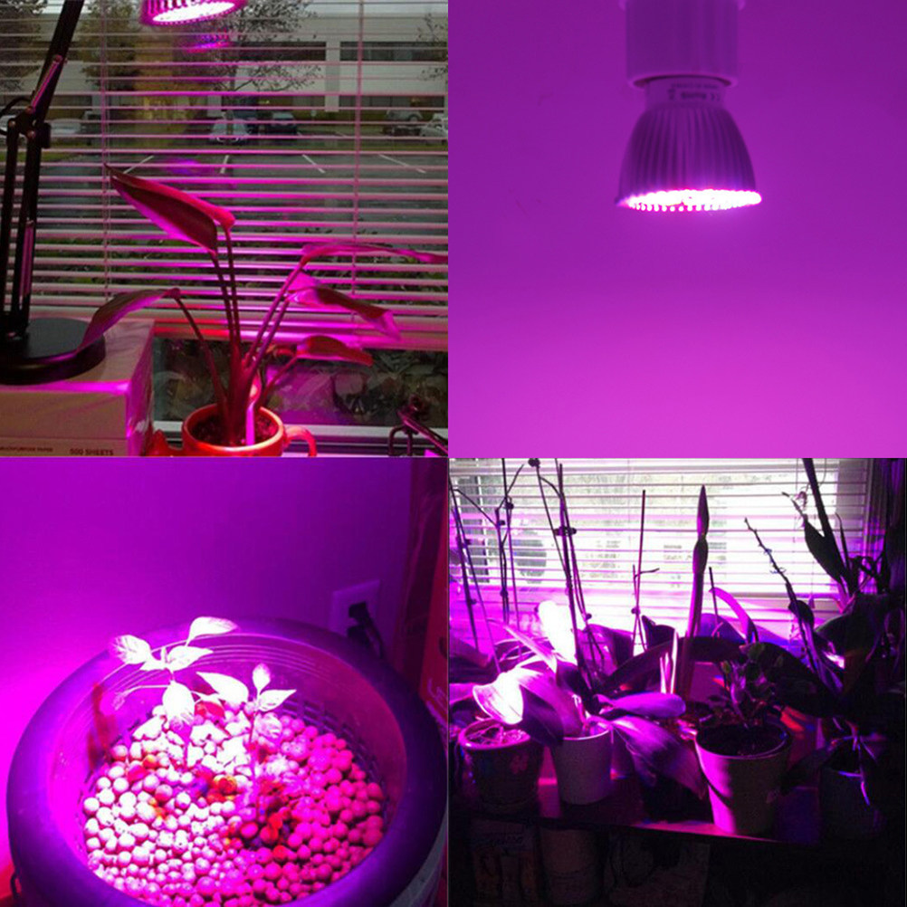 Lampa LED do wzrostu roślin, p – Plant Grow Light Full Spectrum recenzja i cena