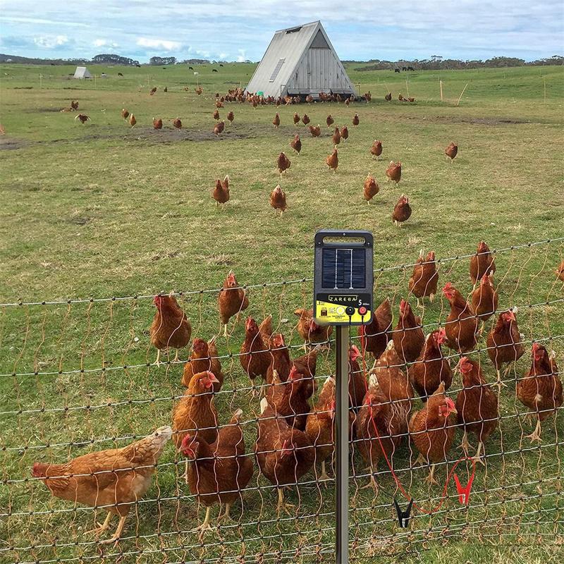 2 szt. Ogrody ładowarka słonec – Smart Garden Kit recenzja i cena